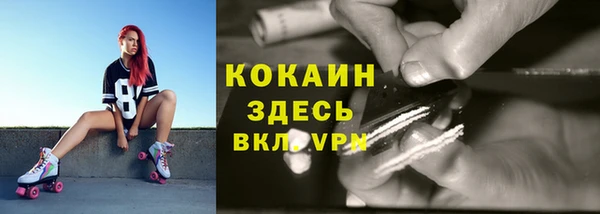 молекула духа Нефтекумск