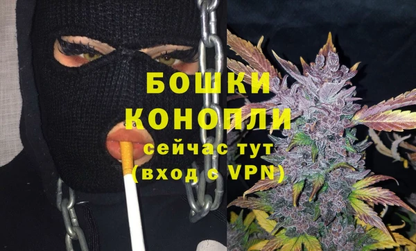 твердый Новодвинск