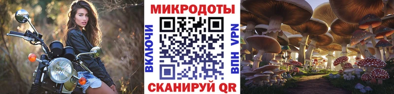 Псилоцибиновые грибы Psilocybine cubensis блэк спрут tor Фрязино